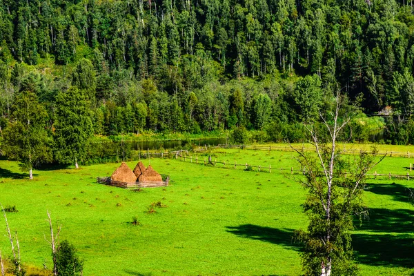 Summer landscape with haystacks in the mountains — Stock Photo, Image