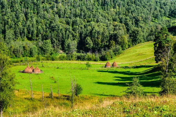 Летний пейзаж с стогами сена в горах — стоковое фото