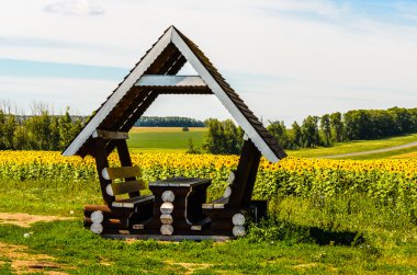 Yaz manzara: ayçiçeği alan