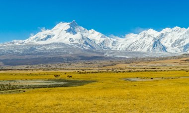 Himalaya Dağları nın görünümü. Tibet