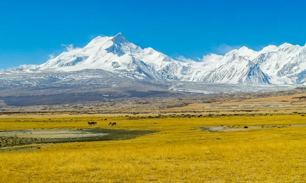 Vista de las montañas del Himalaya. Tíbet — Foto de Stock