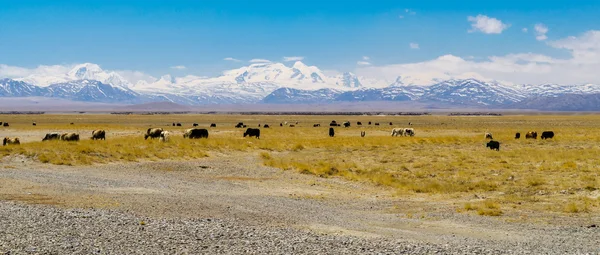 Vista de las montañas del Himalaya. Tíbet — Foto de Stock