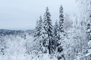 Ural Dağları kış akşamları. Rusya