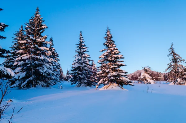 Winter evening in the Ural mountains. Russia — Stock Photo, Image