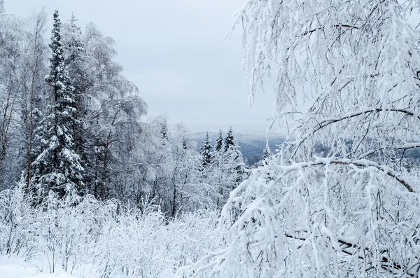 Noite de inverno nas montanhas Urais. Rússia — Fotografia de Stock