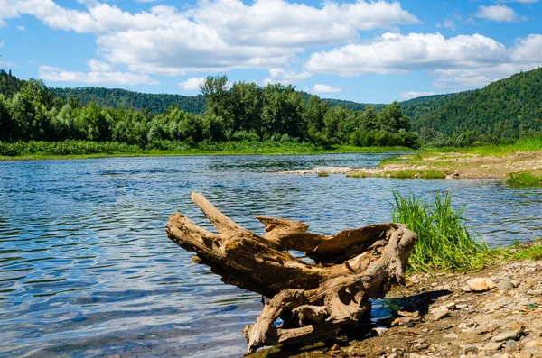 yaz günü mavi gökyüzünün altında güzel bir Nehri.