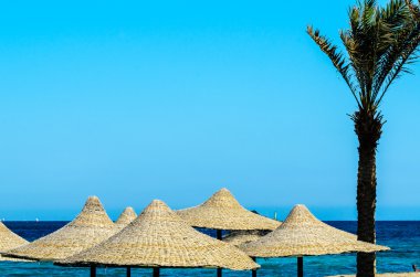 Deniz arka plan üzerinde güneş şemsiyeleri