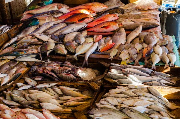 Čerstvé ryby na rybím trhu v Hurgádě. Egypt — Stock fotografie