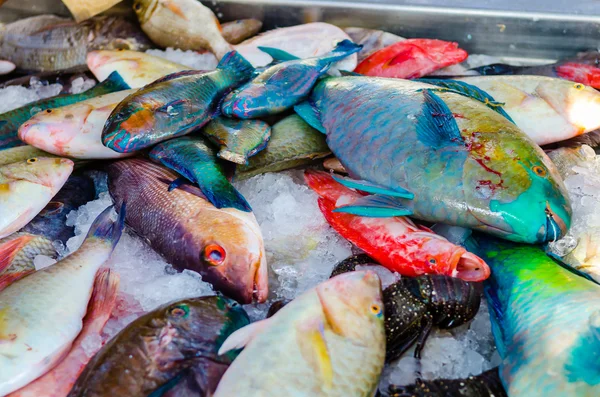 Świeżych ryb na targu rybnym w Hurghadzie. Egipt — Zdjęcie stockowe