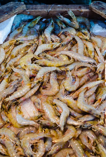 Pescado fresco en el mercado de pescado en Hurghada. Egipto —  Fotos de Stock