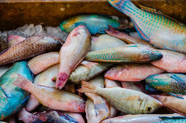 Peixes frescos no mercado de peixe em Hurghada. Egipto — Fotografia de Stock