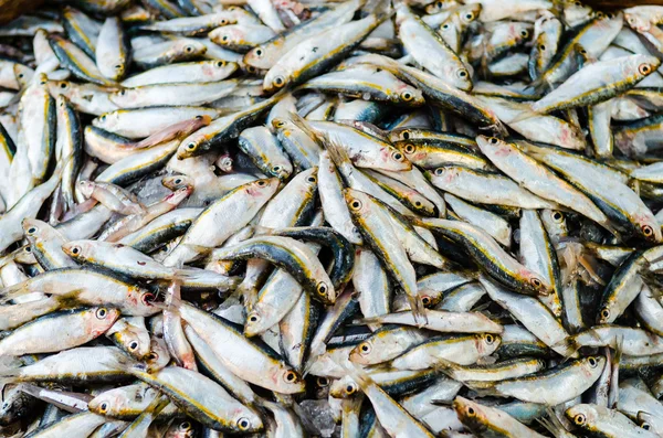 Pescado fresco en el mercado de pescado en Hurghada. Egipto —  Fotos de Stock