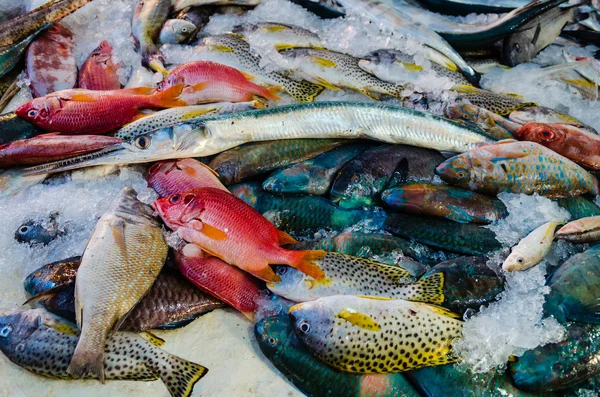 Čerstvé ryby na rybím trhu v Hurgádě. Egypt — Stock fotografie