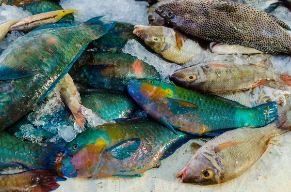 Pescado fresco en el mercado de pescado en Hurghada. Egipto —  Fotos de Stock