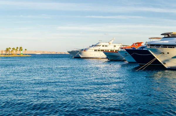 Marina båtar och yachter på kvällen — Stockfoto