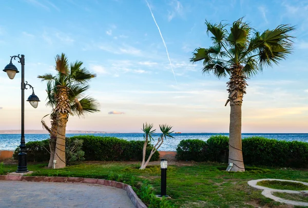 Kväll vid Röda havet. Hurghada — Stockfoto