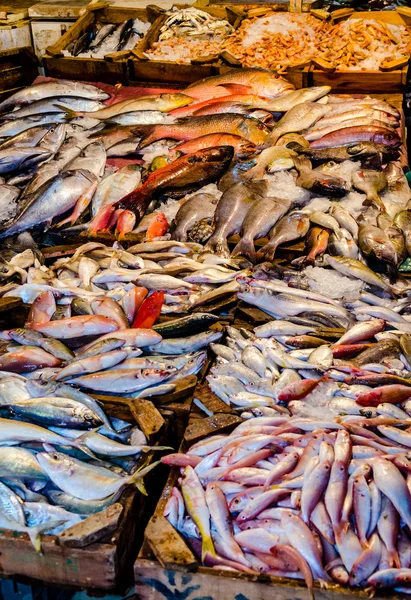 Peixes frescos no mercado de peixe em Hurghada. Egipto — Fotografia de Stock