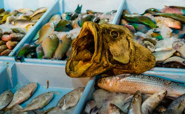 Fresh fish at the fish market in Hurghada. Egypt — Stock Photo, Image