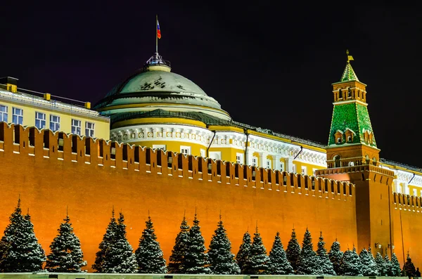 Plac czerwony. Kreml. Moskwa. Rosja — Zdjęcie stockowe