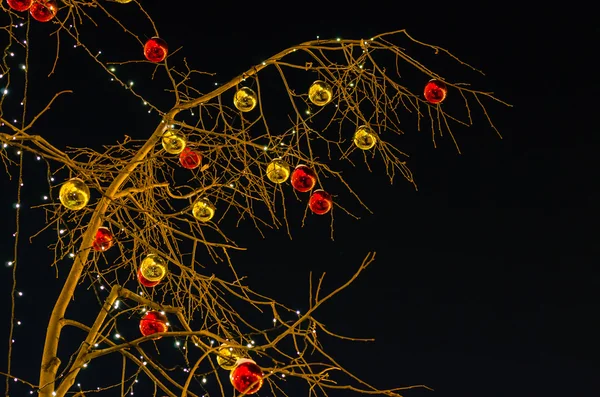 Glass balls on a tree branch. Night lighting — Stock Photo, Image