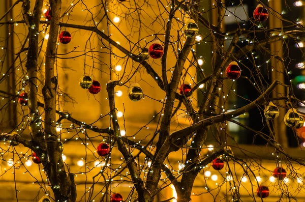 Bolas de vidrio en una rama de árbol. Luz nocturna Fotos De Stock