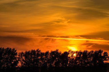 Buğday alanı hem de orman gün batımında