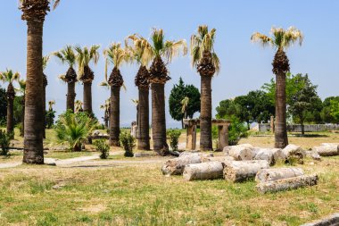 Antik Yunan ve Roma şehir olan hierapolis