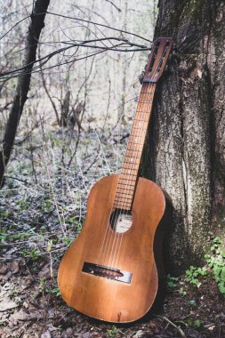 Ormandaki bir ağacın yanında gitar, eski bir tahta gitar.