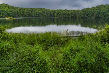 Arrowhead taşra parkında Mayflower Gölü
