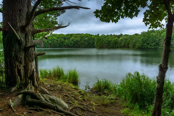 Mayflower lake in Arrowhead provincial park — Photo