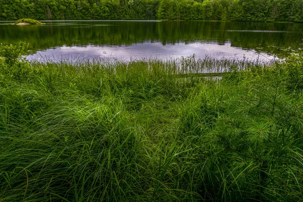 Lago Mayflower en el parque provincial de Arrowhead — Foto de Stock
