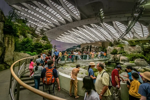 Visitantes y turistas en el museo ecológico biodome en Montreal, Canadá — Foto de Stock