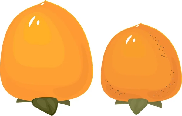 Kaki orange frais — Image vectorielle