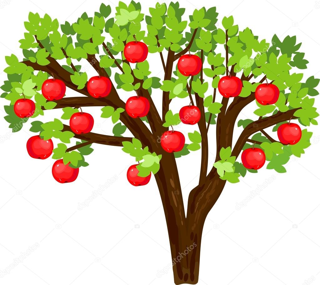 Macieira com folhas verdes Vetor de ©mariaflaya 100601848, image size:1023x911