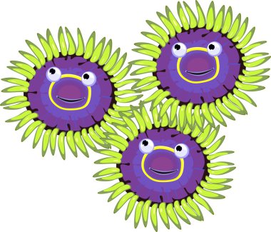 Beyaz arka plan üzerinde komik Zoanthus