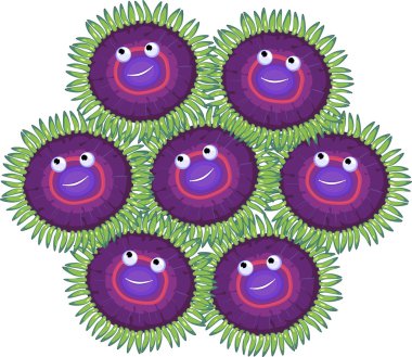 Beyaz arka plan üzerinde komik Zoanthus