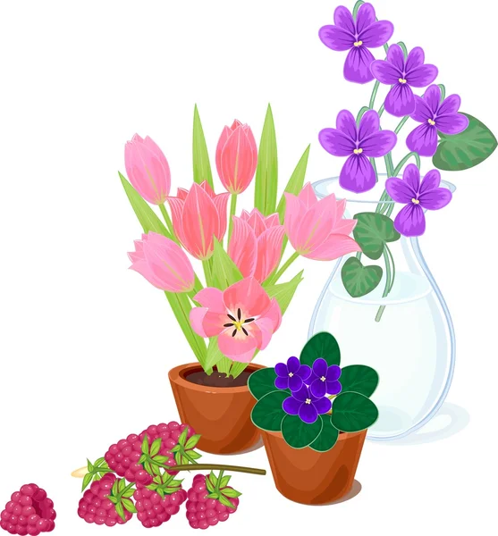 Квіти в горщиках і малині — стоковий вектор