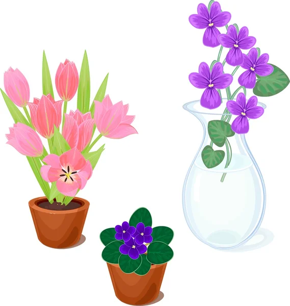 Set de fleurs en pots — Image vectorielle