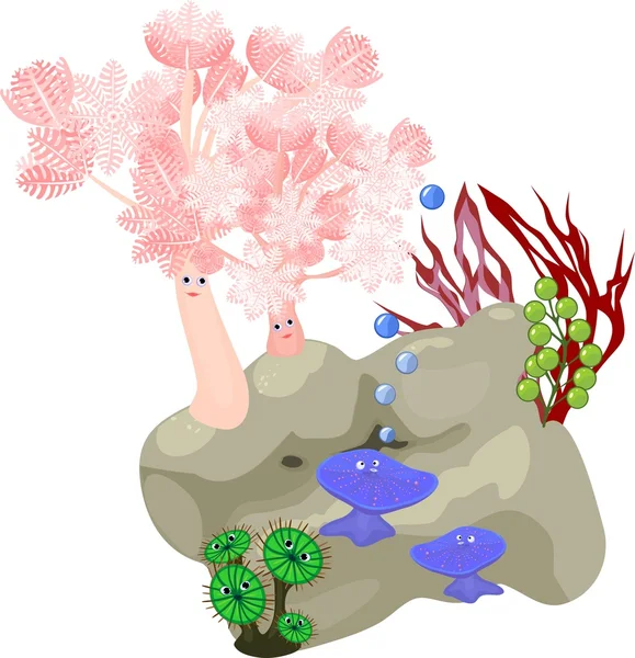 Korallrev på vit bakgrund — Stock vektor