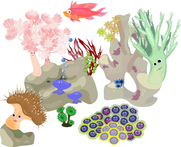 Inhabitants of marine aquarium — Stock Vector