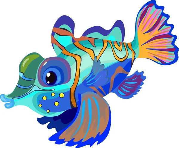 Mandarinfish na bílém pozadí — Stockový vektor