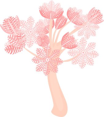 Xenia mercan pompalama