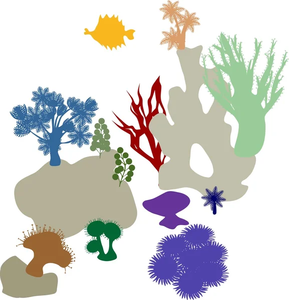 Arrecife de coral. Siluetas coloridas — Vector de stock