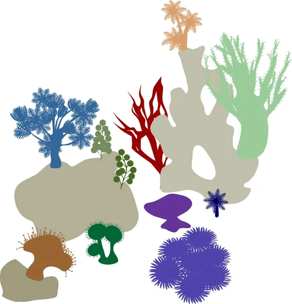 Arrecife de coral. Siluetas coloridas — Vector de stock