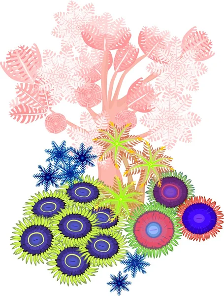 Clavularia, άντληση Ξενία, zoanthus - μαλακό κοράλλι — Διανυσματικό Αρχείο