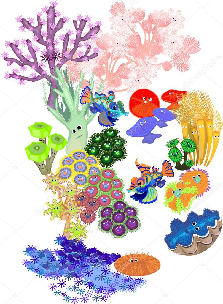 Underwater coral reef with fish on white background