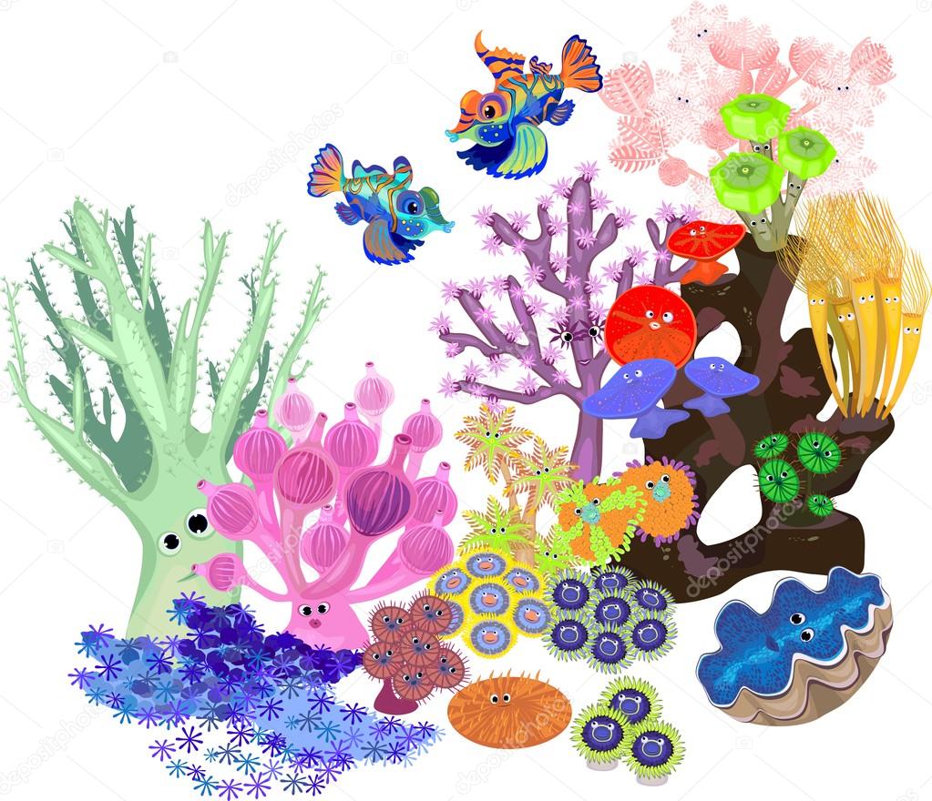 Underwater coral reef with fish on white background