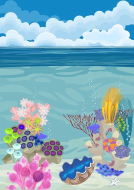 farklı mercan ve tridacna ile sualtı manzara