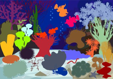 Sualtı mercan kayalığı. Siluetleri