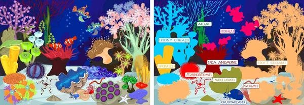 Коралловый риф с мягкими и твердыми кораллами. Экосистема — стоковый вектор
